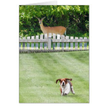 Voisin courant de basset et de cerfs communs sur