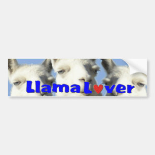 Voiture AUTOCOLLANT de Bbumper d'amant de lama