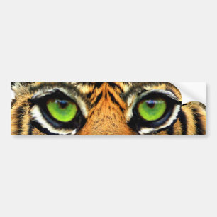 Voiture Autocollant de bumper de tigre sauvage moderne