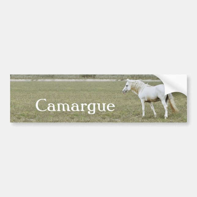 Voiture Autocollant de Camargue (Devant)