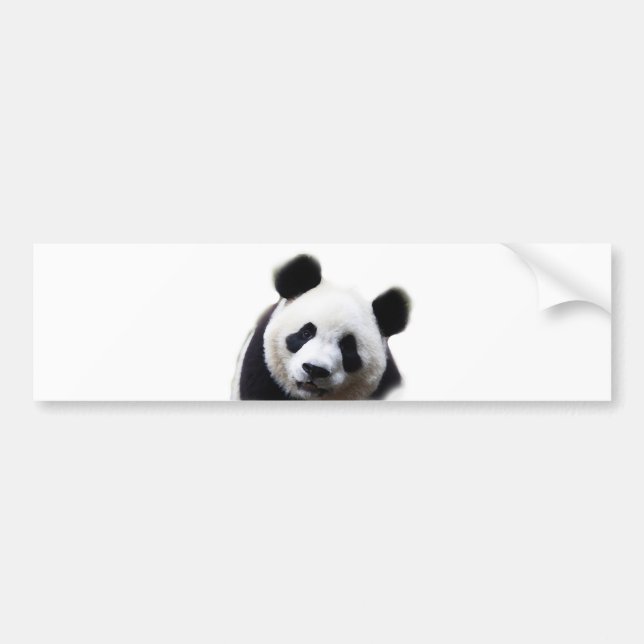 Voiture Autocollant de décoration Pretty Panda (Devant)