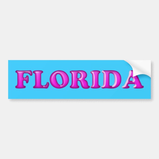 Voiture Autocollant de Floride-Pare-chocs (Devant)