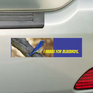 Voiture Autocollant de pare-chocs Bluebird