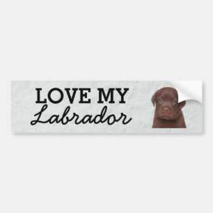 Voiture Autocollant de pare-chocs Labrador