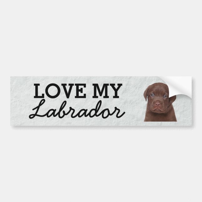 Voiture Autocollant de pare-chocs Labrador (Devant)