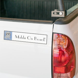 Voiture Autocollant de pare-chocs pour chien Malshi