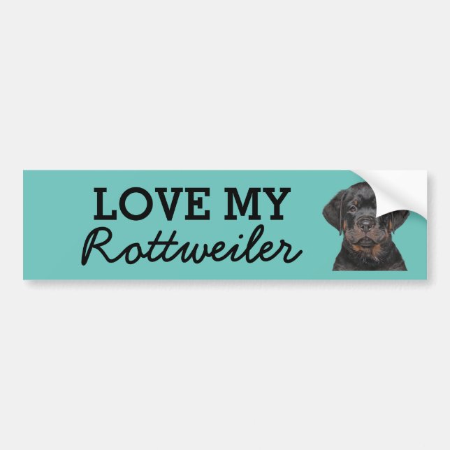 Voiture Autocollant de pare-chocs Rottweiler (Devant)