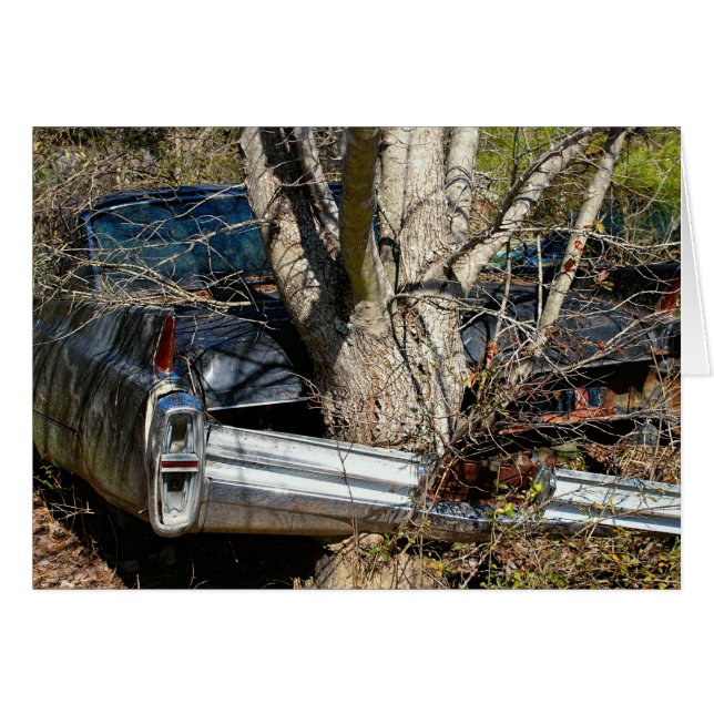 Voiture détruite par cru enroulée autour de (Devant horizontal)