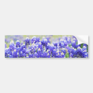 Voiture Long autocollant peint de Bluebonnet