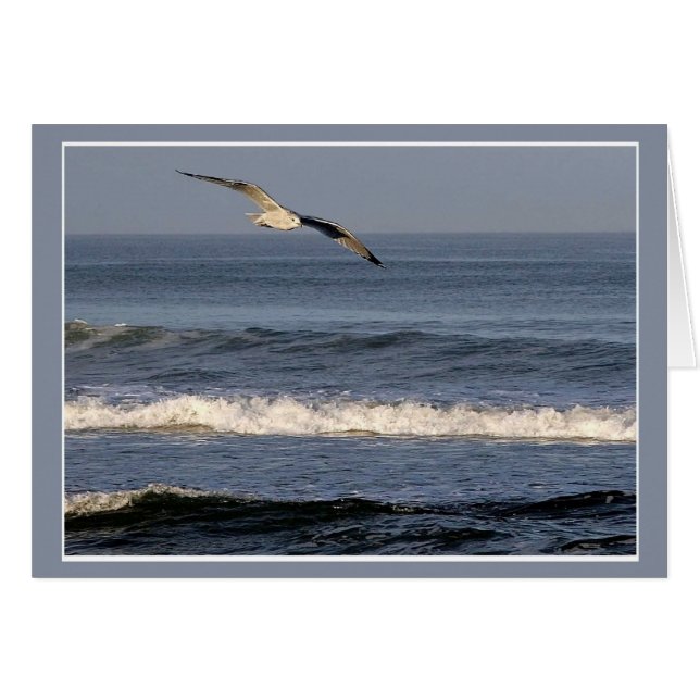 Vol au-dessus d'OBX (Devant horizontal)