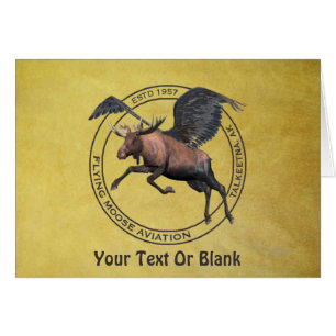 Vol de Moose Aviation