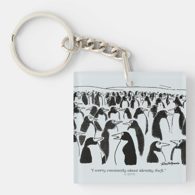 Vol d'identité (Devant)