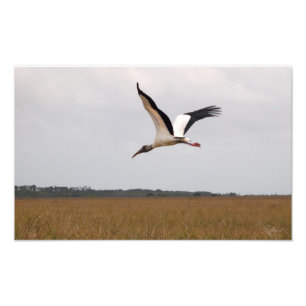 Vol d'une copie de photo de cigogne en bois au