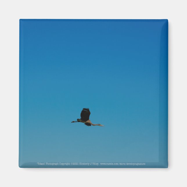 Volant Magnet (Vorne)