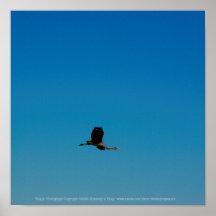 Volant