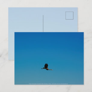 Volant Postkarte