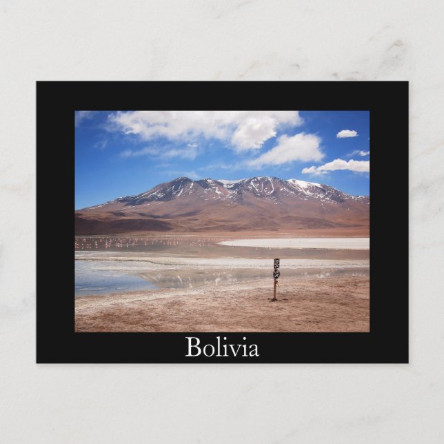 Volcan dans un paysage de l'Altiplano carte postal (Devant)