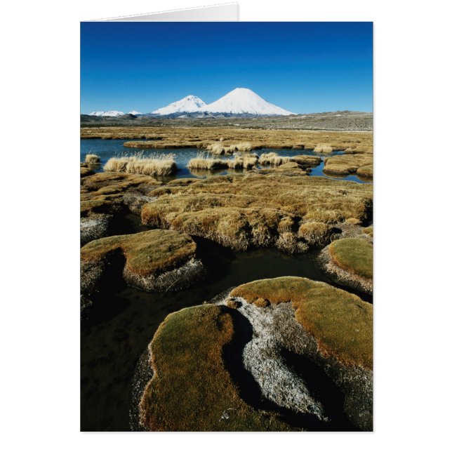 Volcans Payachalas (Devant)