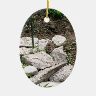 Vole Ornament