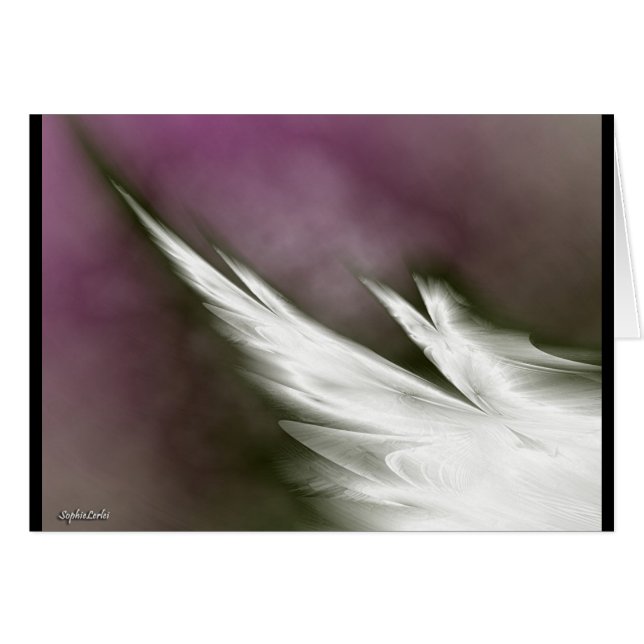 vole pour la paix ! (Devant horizontal)