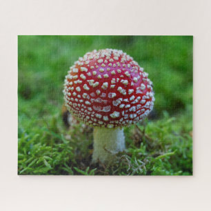 Voler Agaric Champignons Puzzle