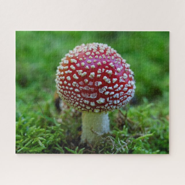 Voler Agaric Champignons Puzzle (Horizontal)