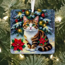 Volksfest Tabby-Katze und individuelle Weihnachtsb
