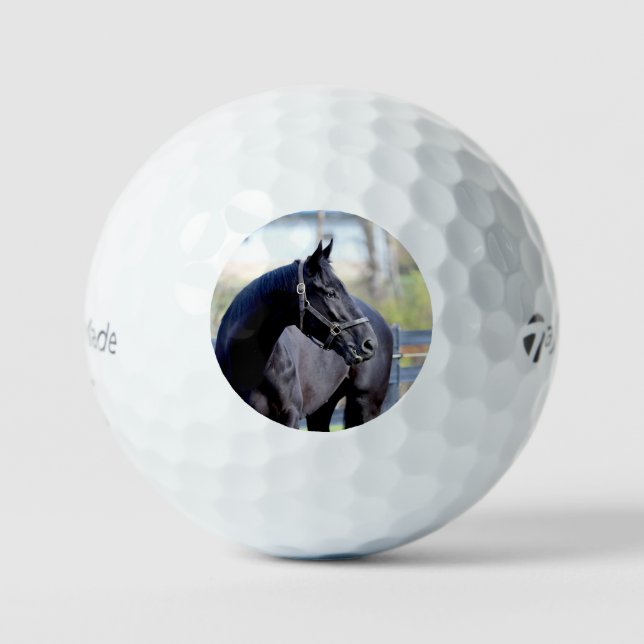 Vollblut Golf Ball (Vorderseite)