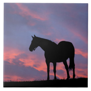 Vollblut Pferd Silhouette bei Sonnenaufgang Fliese