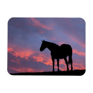 Vollblut Pferd Silhouette bei Sonnenaufgang Magnet