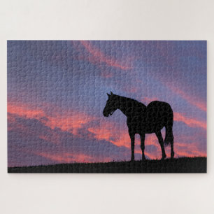 Vollblutpferd Silhouette bei Sonnenaufgang