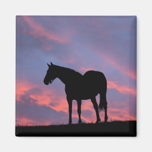 Vollblutpferd Silhouette bei Sonnenaufgang Magnet