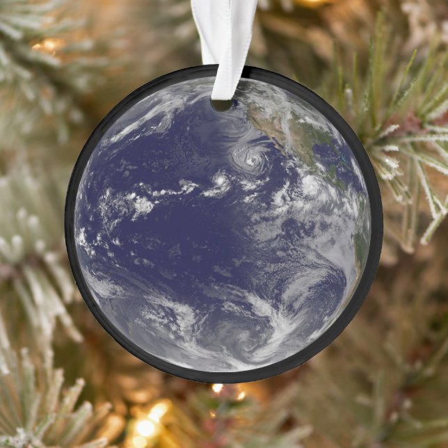 Voller Erde mit verschiedenen tropischen Stürmen. Ornament (Baum)