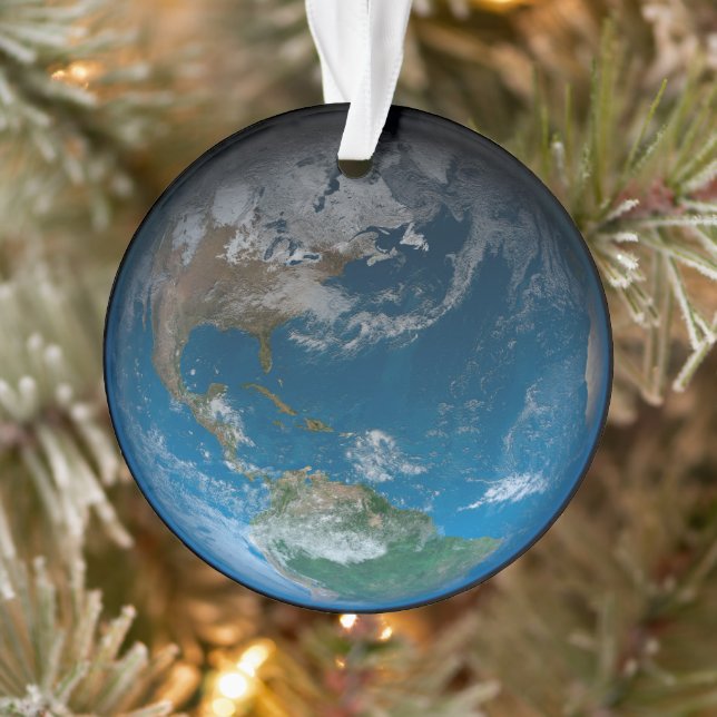 Vollerde mit Nord- und Südamerika. Ornament (Baum)
