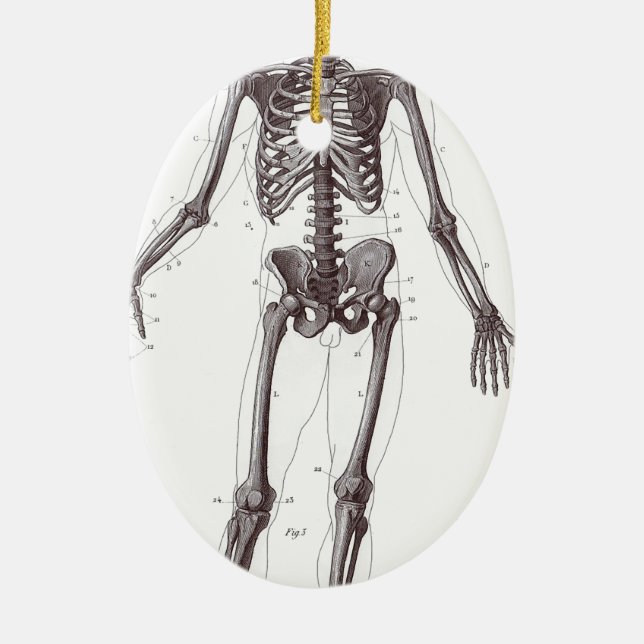 Volles Skelett Keramik Ornament (Vorne)