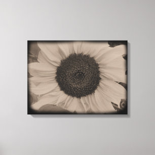 Volles Sonnenblume-Gesicht in Diatrope Leinwanddruck