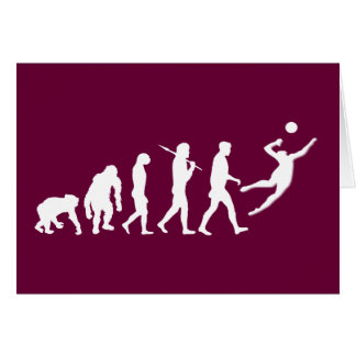 Volleyball-Geschenk
