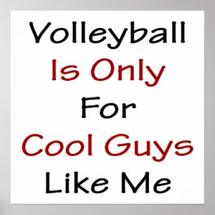 Volleyball ist nur für Coole Typ wie mich Poster