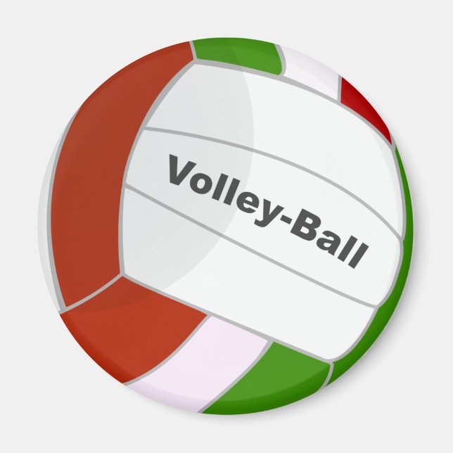 Volleyball Magnet (Vorne)