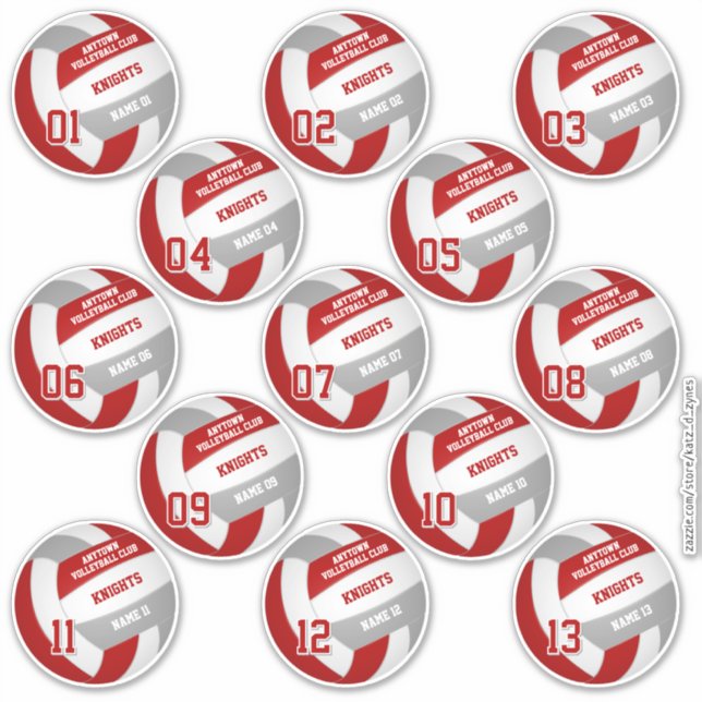 Volleyball-Mannschaftsmitglieder Set von 13 rot-gr Aufkleber (Vorderseite)