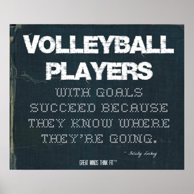 Volleyball Spieler mit Zielen erfolgreich im Denim Poster (Vorne)