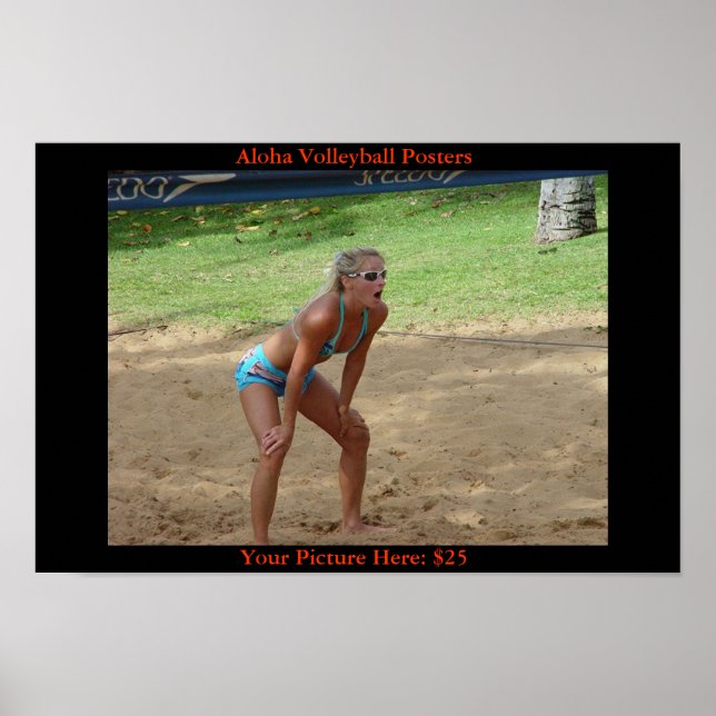 Volleyballausdrücke Poster (Vorne)