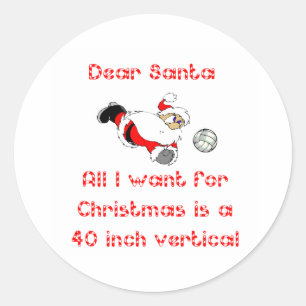 VolleyChick Dear Santa 1 Seite Runder Aufkleber