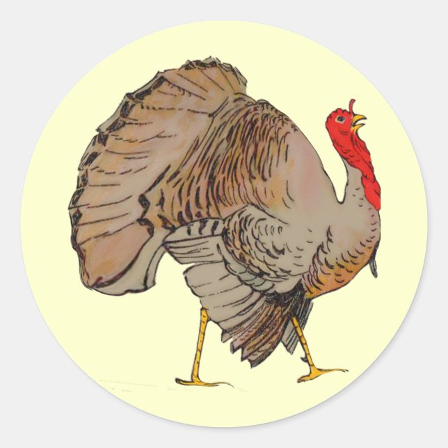 Vollfarbiger Erntedank Türkei Runder Aufkleber (Vorderseite)