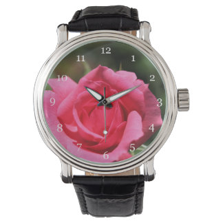 vollkommenes, schönes Foto mit heißen rosa Rose Armbanduhr