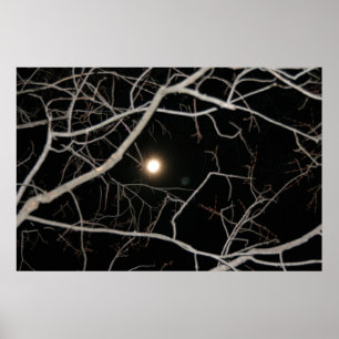 Vollmond auf dem Webposter Poster