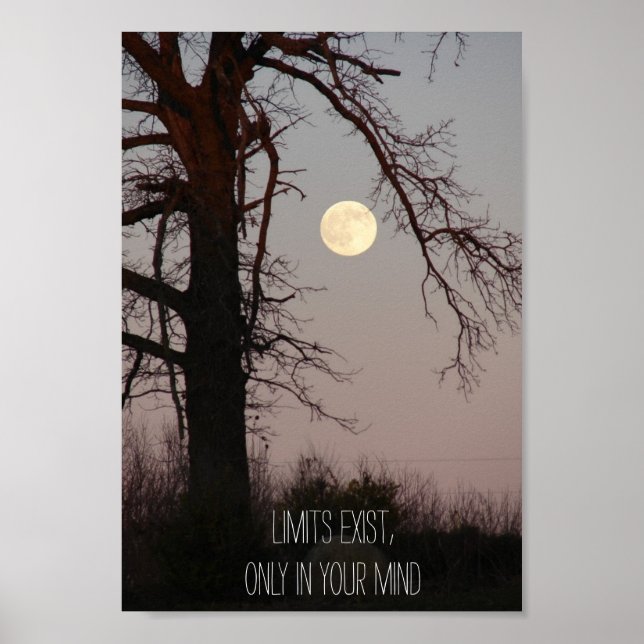 Vollmond durch Baumzweige Motivierend Poster (Vorne)