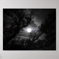 Vollmond durch die Zweige