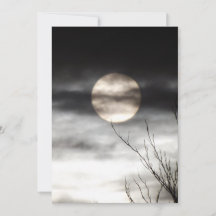 Vollmond