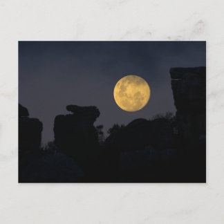 Vollmond in der Wildnis, Südafrika Postkarte